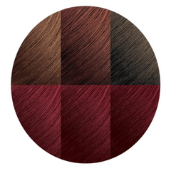 Creme Of Nature Exotic Shine Color with Argan Oil from Morocco - Burgundy Blaze 6.2
