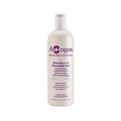 ApHogee Shampoo for Damaged Hair 16oz