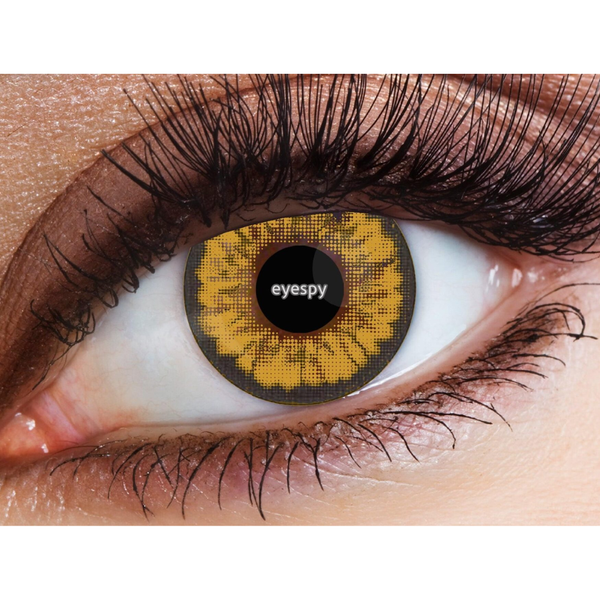 Eyecasions 30 Day Contact Lenses with Free Solution & Lens Case – Brown