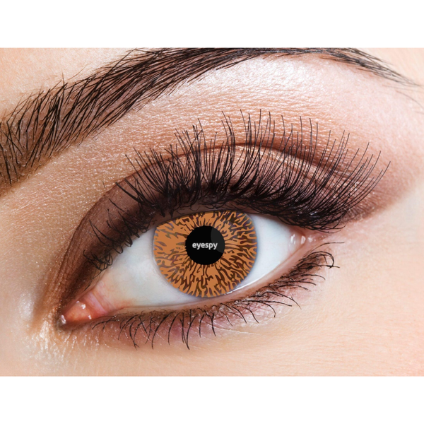 Eyecasions 30 Day Contact Lenses with Free Solution & Lens Case - Honey