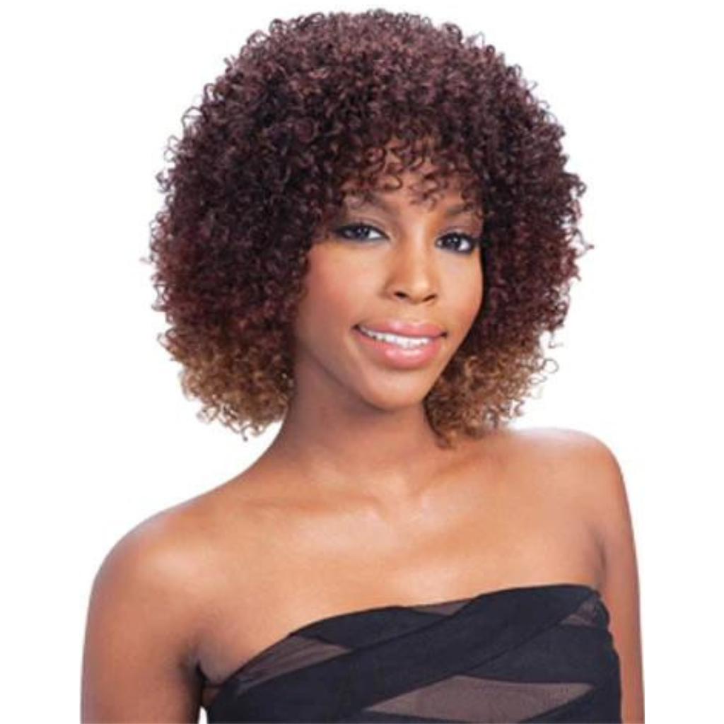 FreeTress Synthetic Equal Lace Front Natural Look Curly Hair Wig – Nene