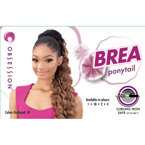 Obsession Curly Long Drawstring Ponytail - Brea